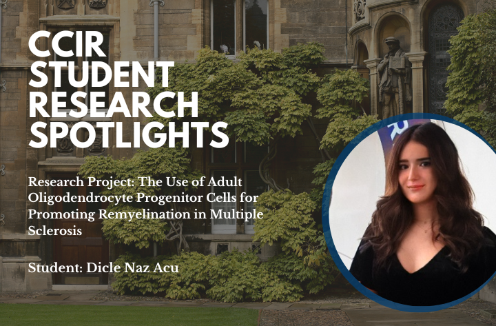 High School Student Researcher Dicle on the The Use of Adult Oligodendrocyte Progenitor CellsHigh School Student Researcher - CCIR