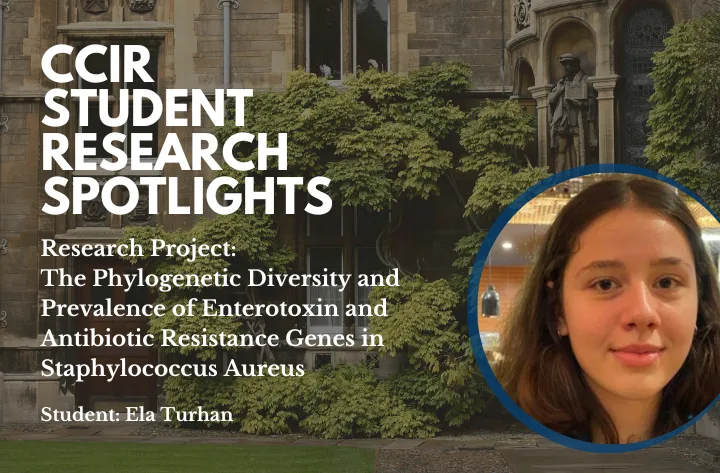 High School Student Researcher Ela On The Phylogenetic Diversity And Prevalence Of Enterotoxin