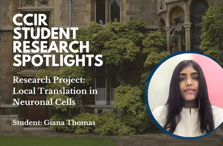 High School Student Researcher Giana On Local Translation In Neuronal Cells Ccir