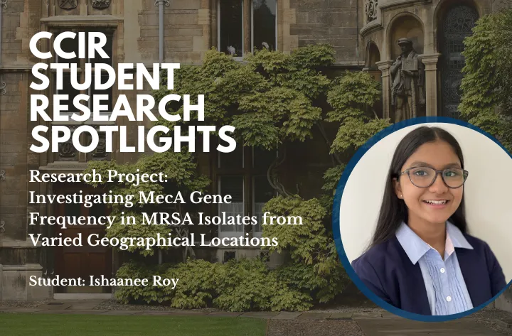 High School Student Researcher Ishaanee On Investigating Meca Gene Frequency In Mrsa Isolates Locations - CCIR