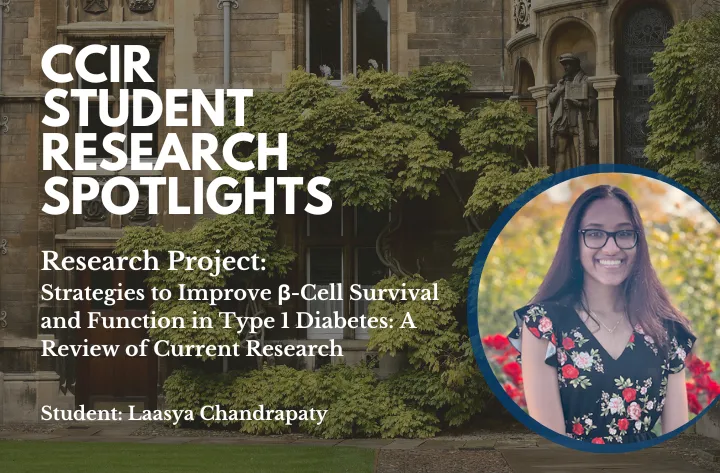 High School Student Researcher Laasya On Strategies To Improve β Cell Survival & Function In Type1 Diabetes Ccir