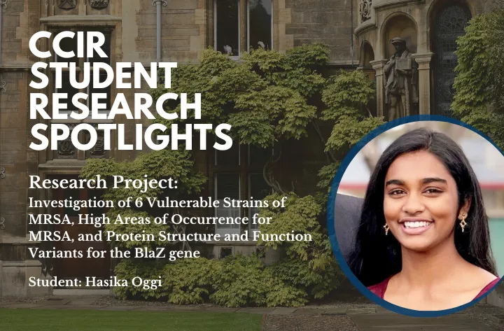High School Student Researcher Hasika On Investigation Of 6 Vulnerable Strains Of Mrsa | CCIR